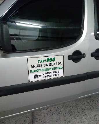 Foto 4 - Táxi Dog Anjos da Guarda Transporte de Animais